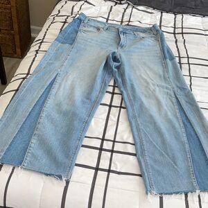 American Eagle Low Rise Baggy Wide leg Jeans